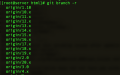 view all git branches